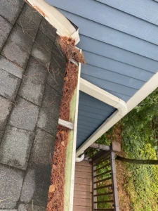 Gutter Cleaning