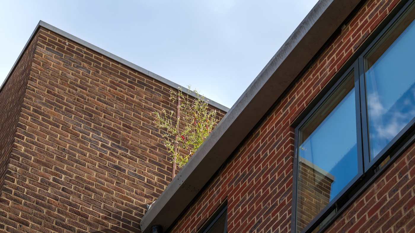 Low angle view at house gutter with plants against sky. Gutter garden.