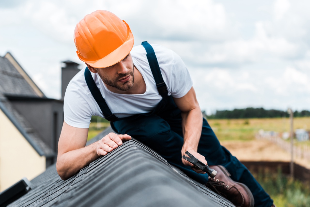 roof inspection