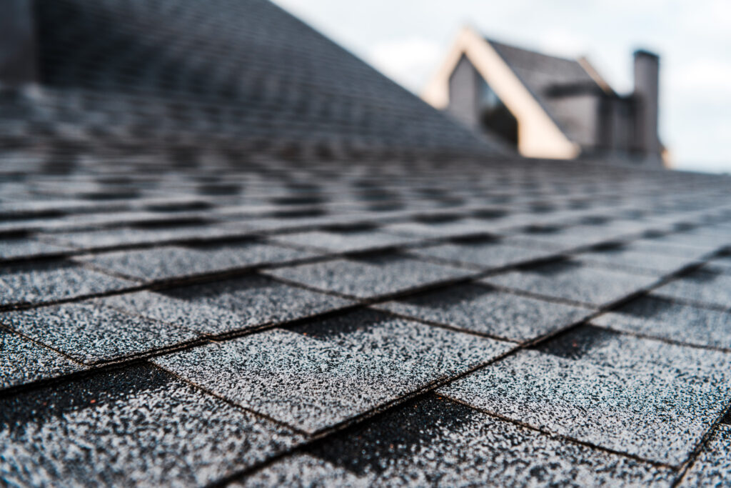 roof leak inspection and roof cleaning