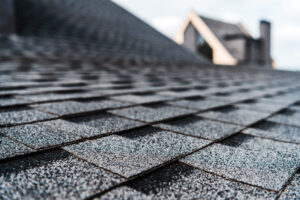 roof leak inspection and roof cleaning