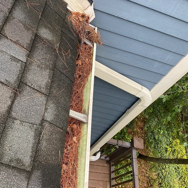 Gutter Cleaning