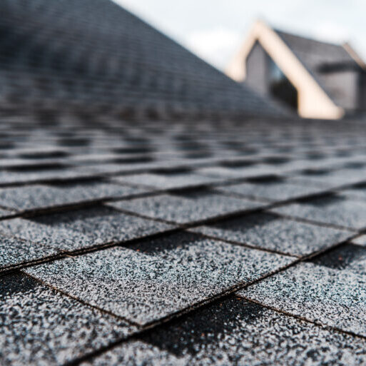 roof cleaning